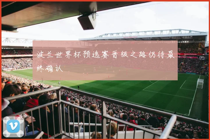 波兰世界杯预选赛晋级之路仍待最终确认